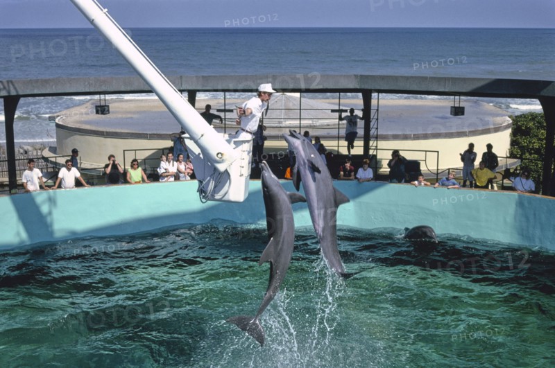 Marineland, Florida