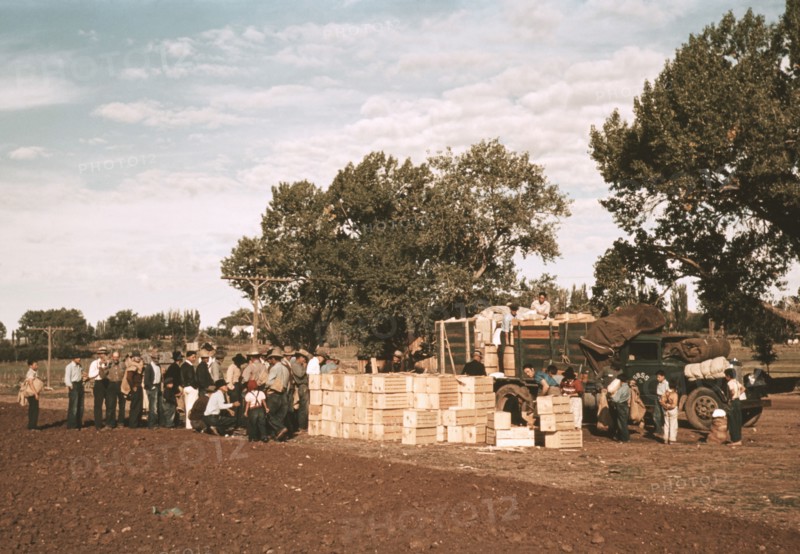 Distributing Surplus Commodities, St. Johns