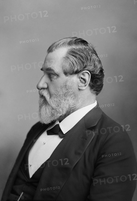 Leland Stanford (1824-1893), American Industrialist