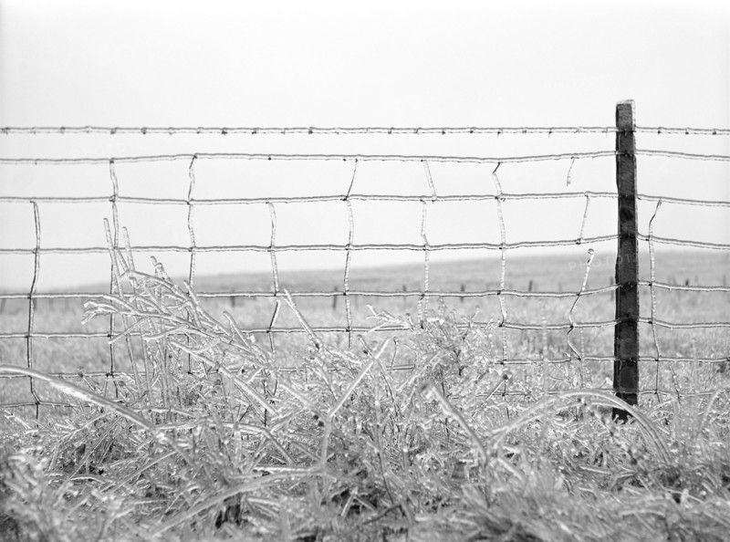 Frozen Barbed Wire Fence, Rockingham County