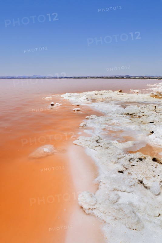 Pink Salt Lake, Torrevieja