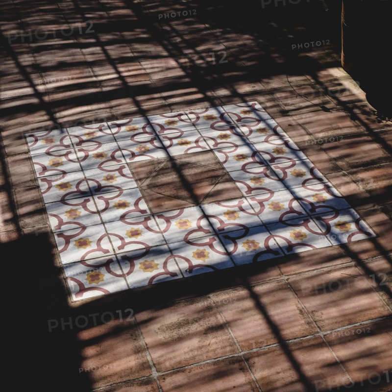 Shadows on Tiled Floor ,