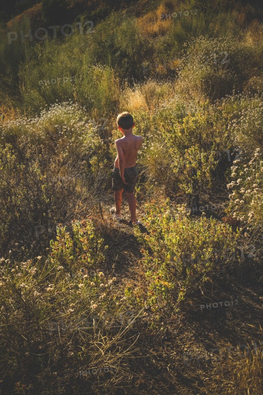 Rear View of Shirtless Boy walking down Hill through Thick Foliage,
