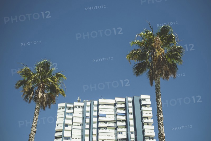 Apartment Building and Two Palm Trees against Blue Sky,