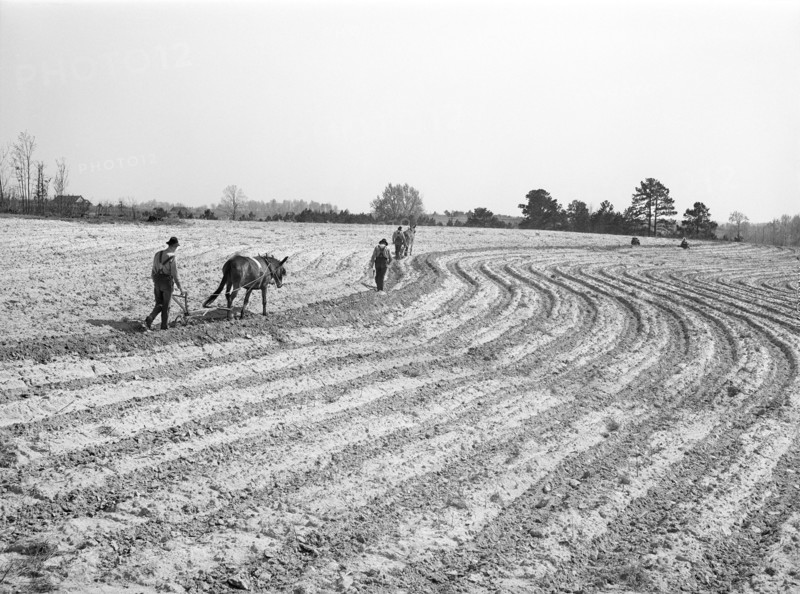 Farmers plowing and planting on Farm near Pacolet