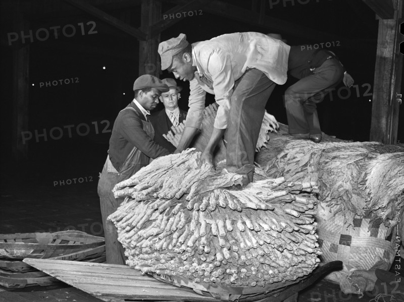 Worker unloading Tobacco in Warehouse before Auction Sale