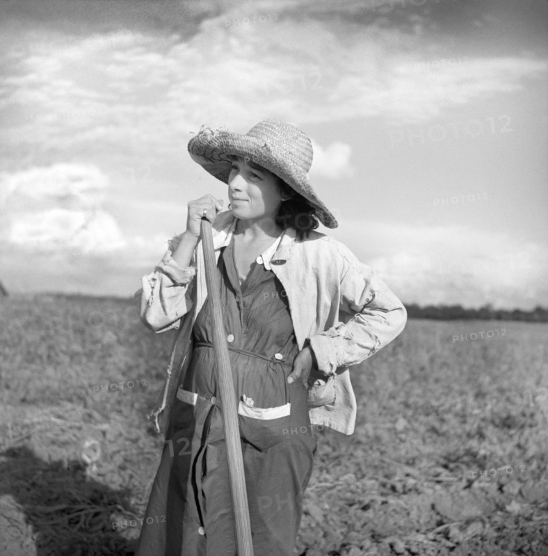 Member of Allen Plantation Cooperative Association resting from hoeing Cotton