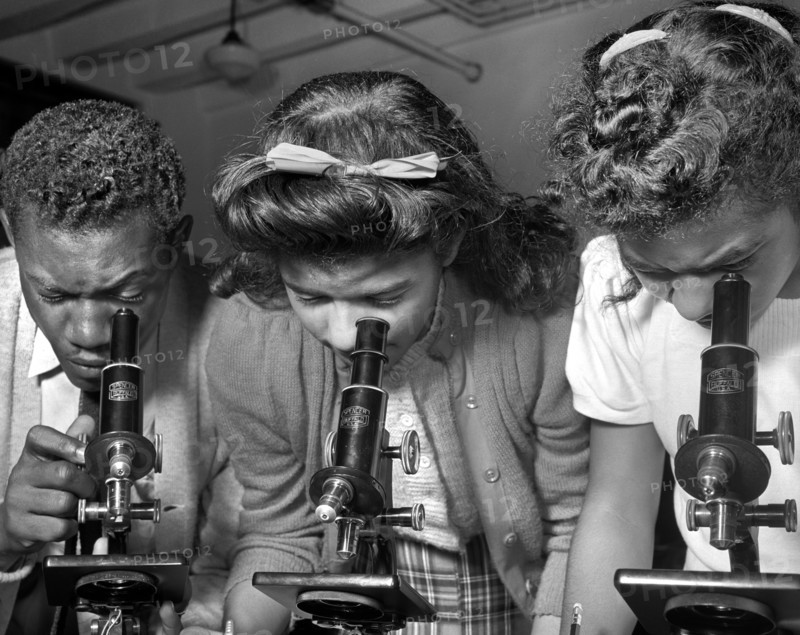 Students using Microscopes