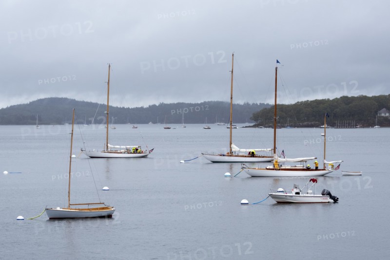Sailboats moored in Harbor