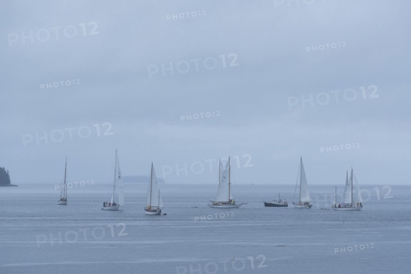 Yachts Racing