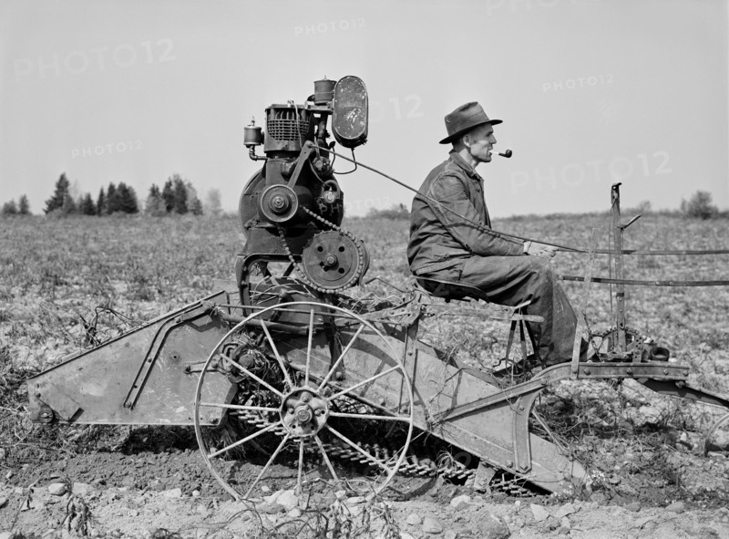 Farmer on horse-drawn Digger on Small Farm near Caribou