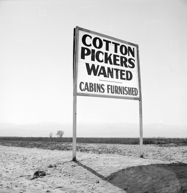 Cotton Pickers Wanted