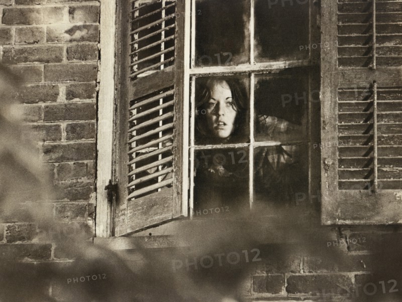 Robin Strosnider