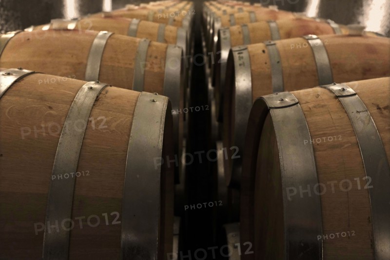 Wine Barrels in Wine Cellar
