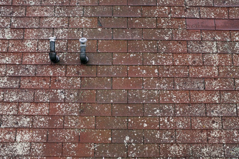 Old Roof with Two Pipes and Lichen