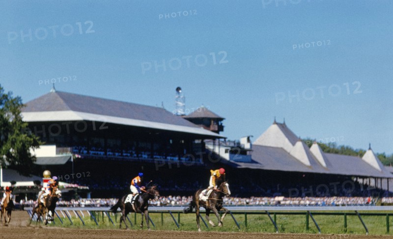 Horse Race