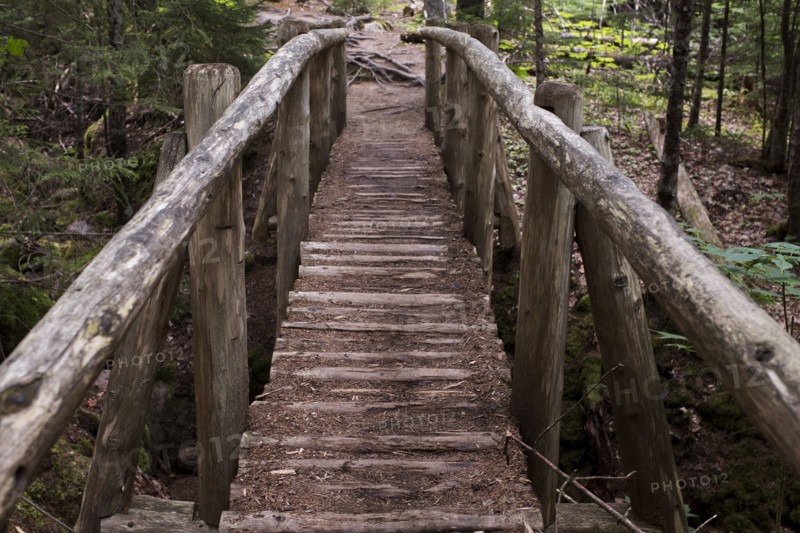 Log Footbridge over Stream in Woods