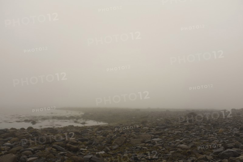 Heavy Fog during Low tide at Beach