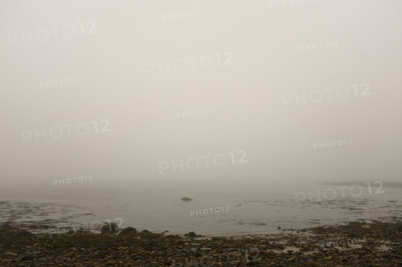 Heavy Fog at Beach