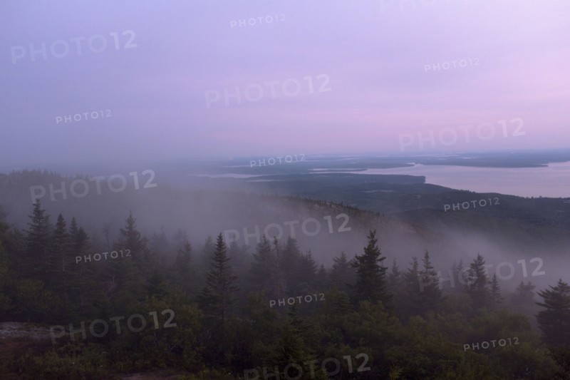 Foggy Landscape at Sunrise with Bar Harbor