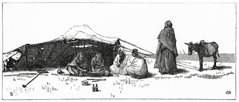 Bedouin Camp near Cairo