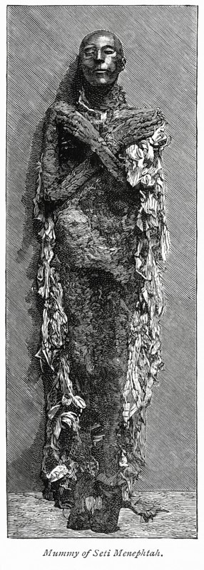 Mummy of Seti Menephtah (Seti-Merenptah)