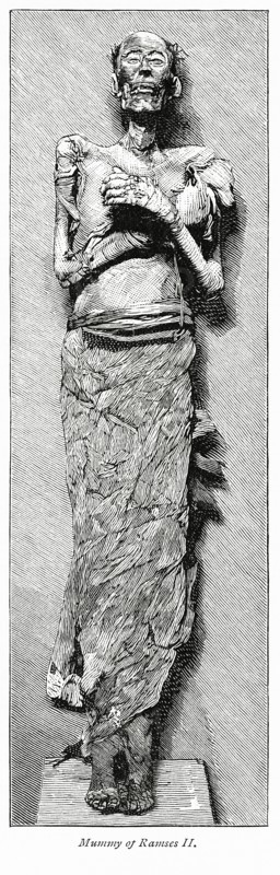 Mummy of Ramses II