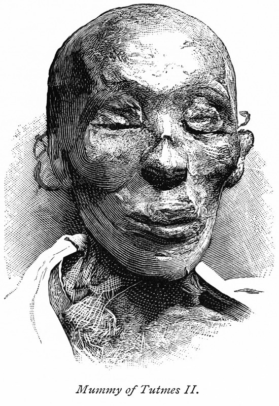 Mummy of Tutmes II (Thutmose II)