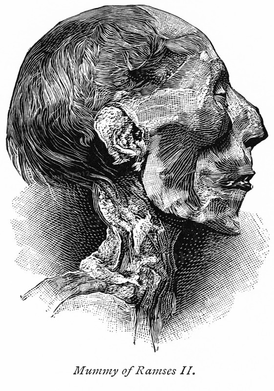 Mummy of Ramses II