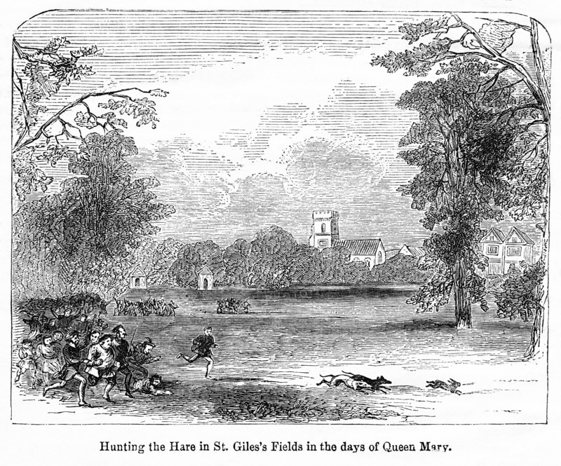 Hunting the Hare in St. Giles’s Fields in the days of Queen Mary