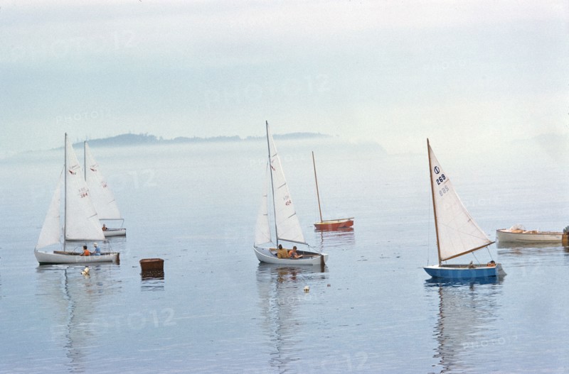 Sailboats
