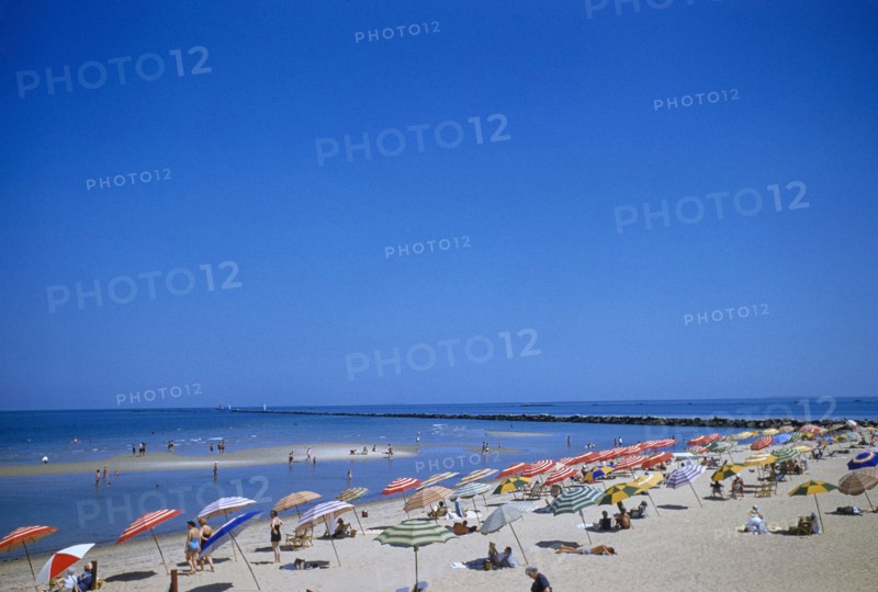 Beachgoers and Sun Umbrellas
