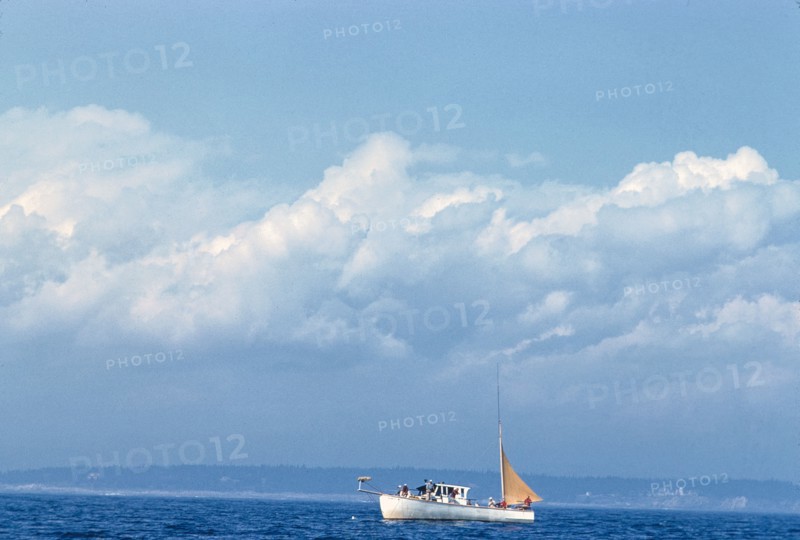 Sailboat at Sea