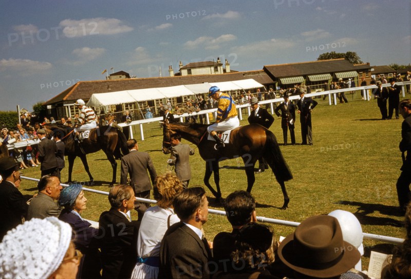 English Derby