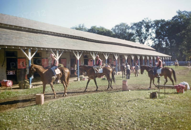 Jockeys on Horses