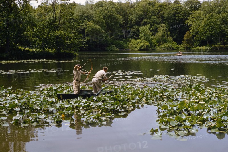 Carp Fishing with Bow and Arrow