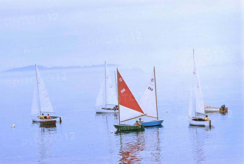 Sailboats