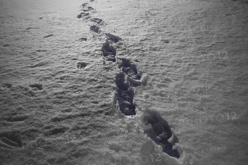 Footprints in Snow at Night