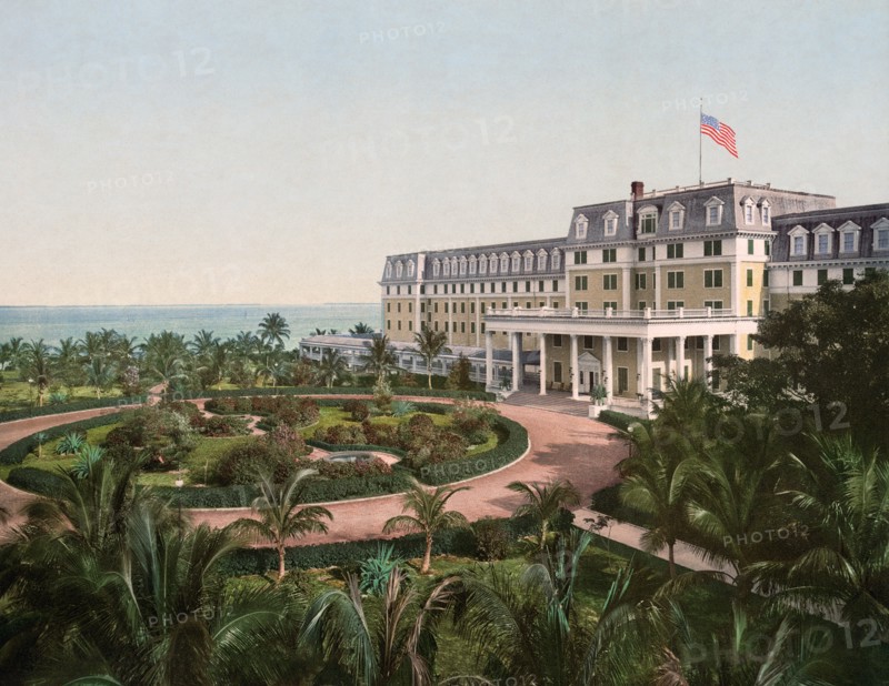 Hotel Royal Palm