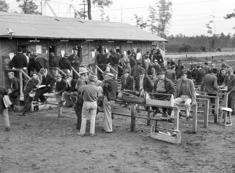 Carpenters and Construction Workers