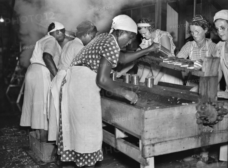 Migrant Workers at Vegetable Canning Plant