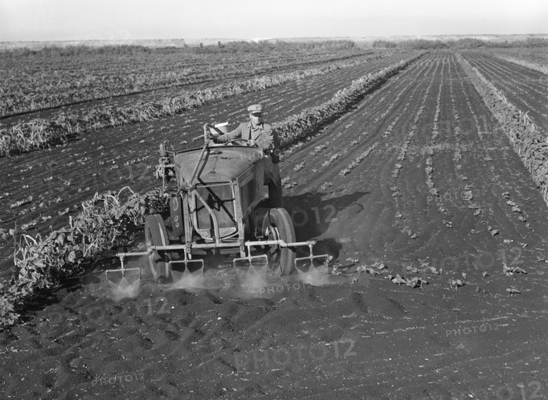 Motor-driven Sprayer Machine