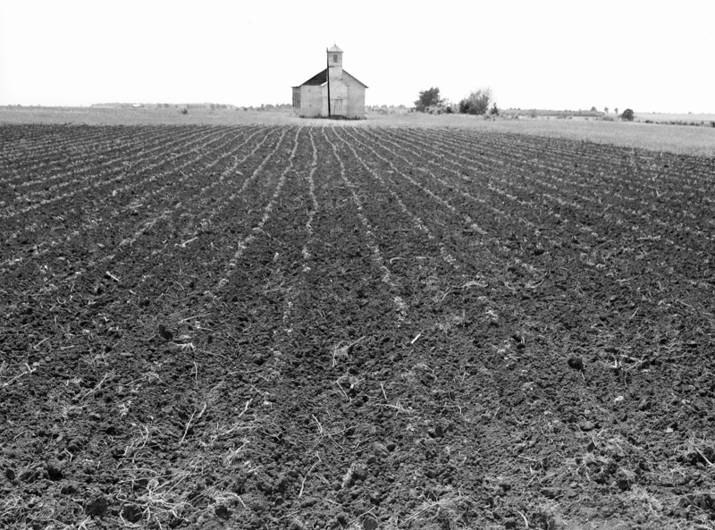 Church and Cotton Field