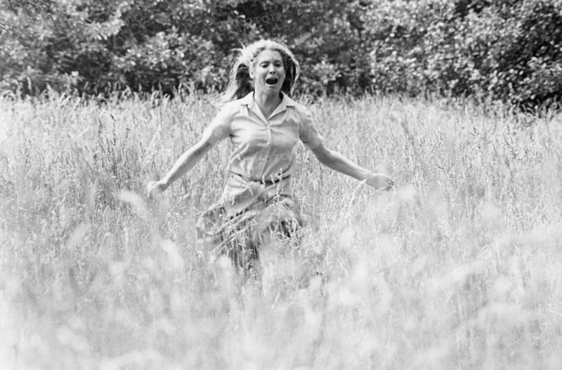 Marilyn Hassett