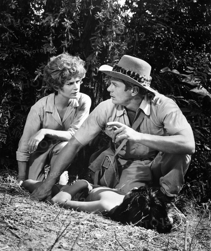 Lois Nettleson