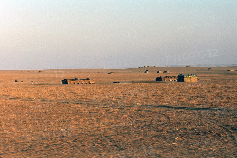 Bedouin tents