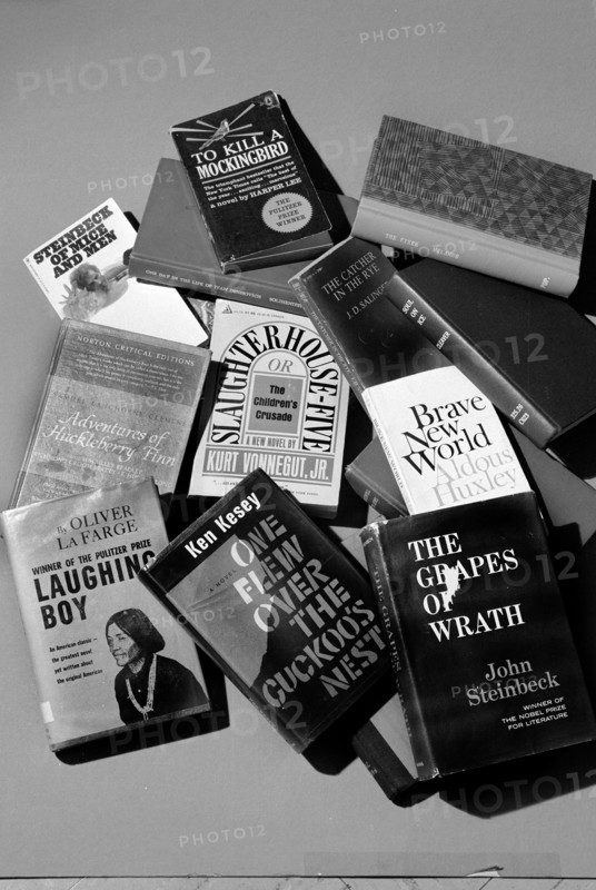 Selection of books banned by U.S. schools