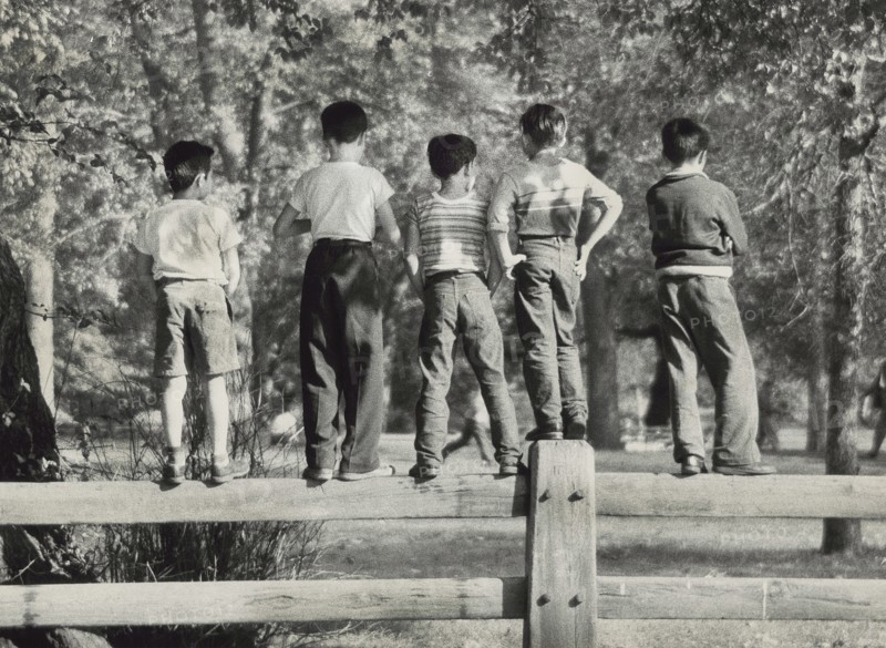 Rear view of five young boys standing on park fence