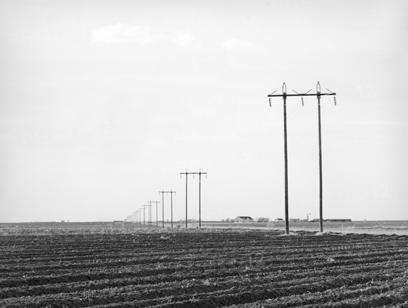 Power lines along rural highway in Dawson County, Texas, USA, Russell Lee, U.S. Farm Security Administration, March 1940