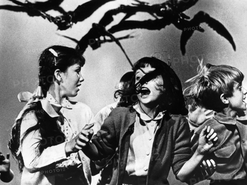 Morgan Brittany, on-set of the film, "The Birds", Universal Pictures, 1963